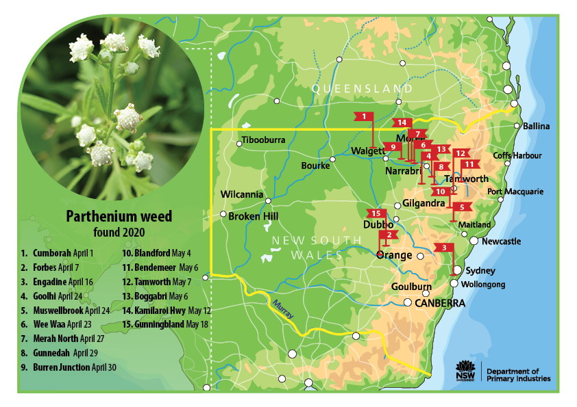 Weed map. To discuss it call DPI media on 0427 773 785