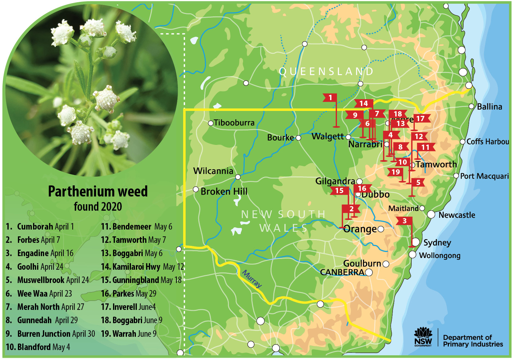 Parthenium weed map