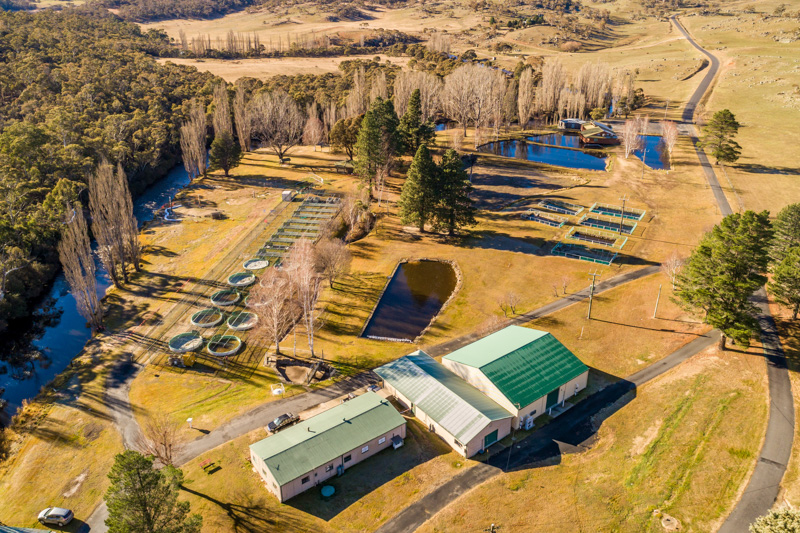 Aerial view of Gaden Trout Hatchery