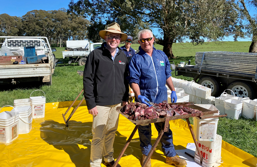 Minister Adam Marshall with Peter Frizel from LLS preparing meat baits