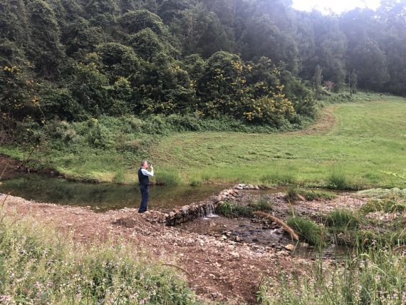 Fisheries officer investigating unlawful works on a creek in the Northern Rivers region