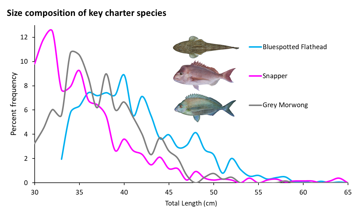 A chart showing the size composition of popular catch species