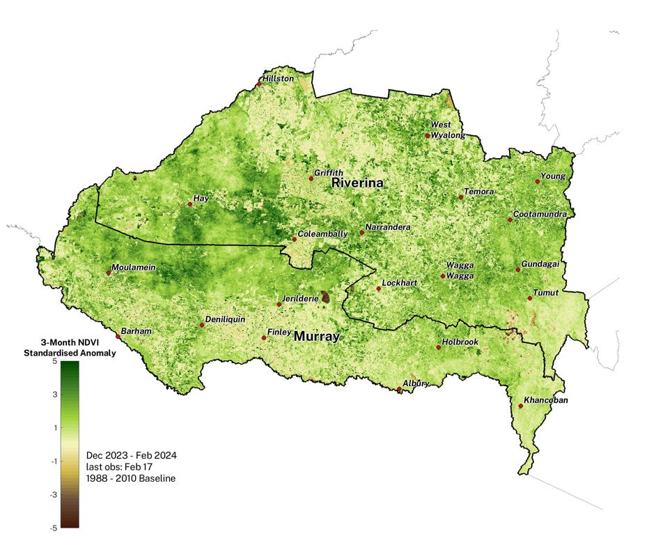 Figure 19. NDVI anomaly map for the Murray and Riverina LLS regions 
