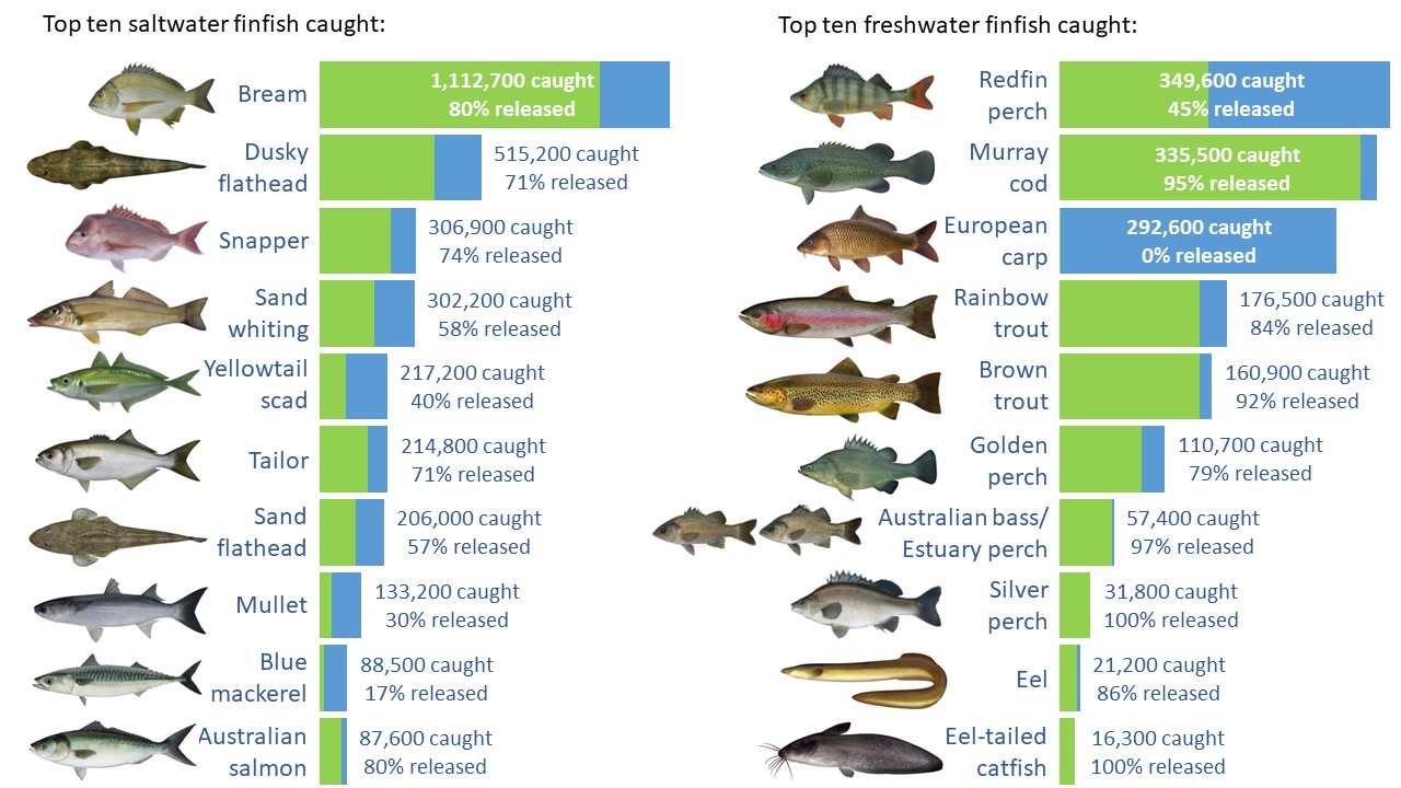 Figure – Top 10 Saltwater and Freshwater finfish species caught state-wide (total caught and % released).