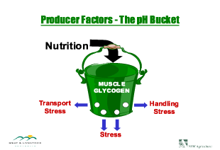 Producer factors- the pH bucket