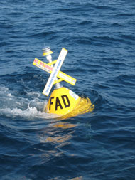 FAD in the water