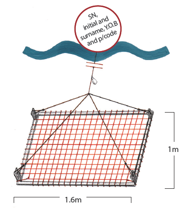 Spanner crab net