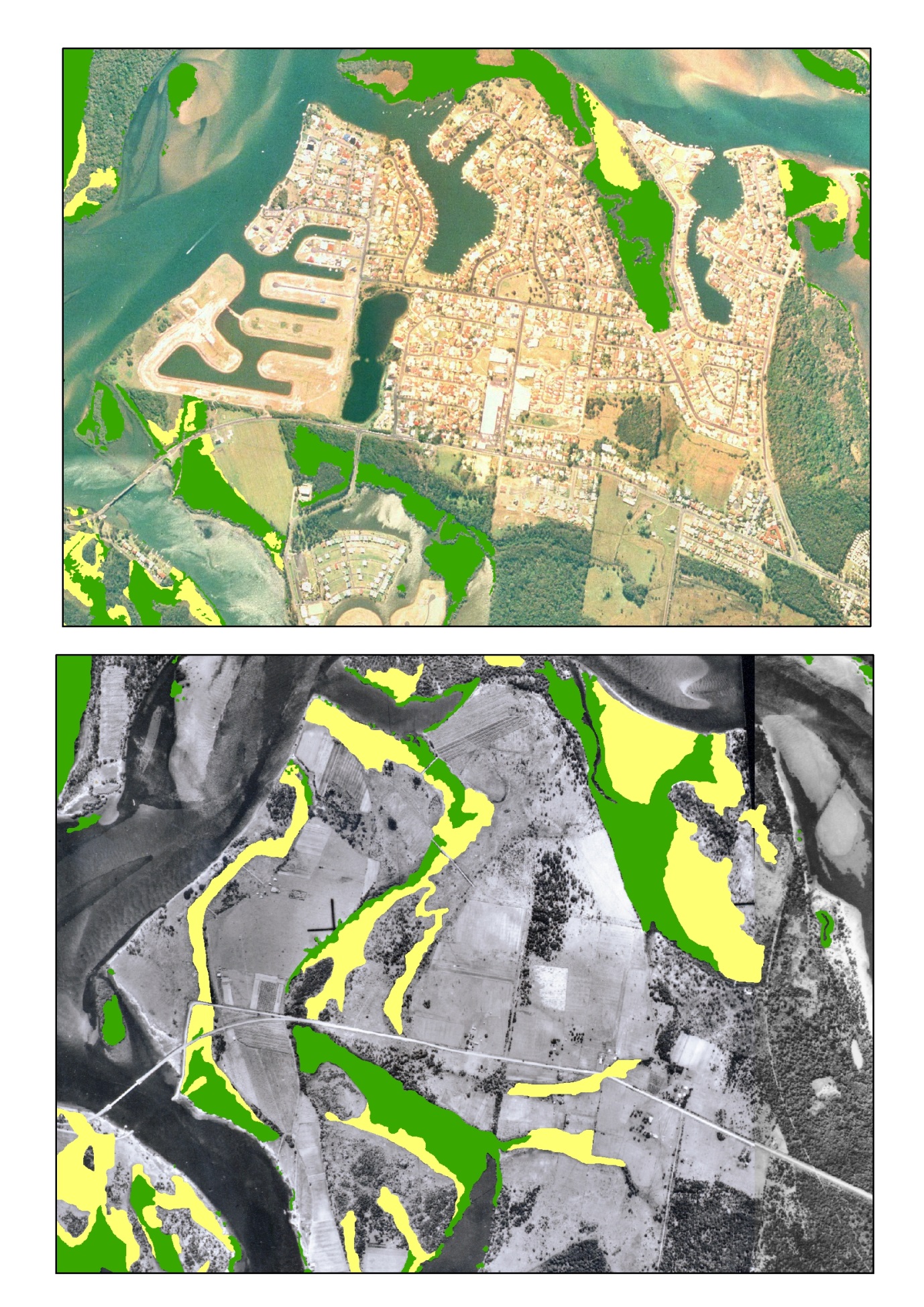 Changes in the distribution of mangrove and saltmarsh in 2009 compared to 1942 near the mouth of the Clarence River.