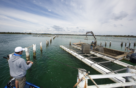 fishing in oyster lease