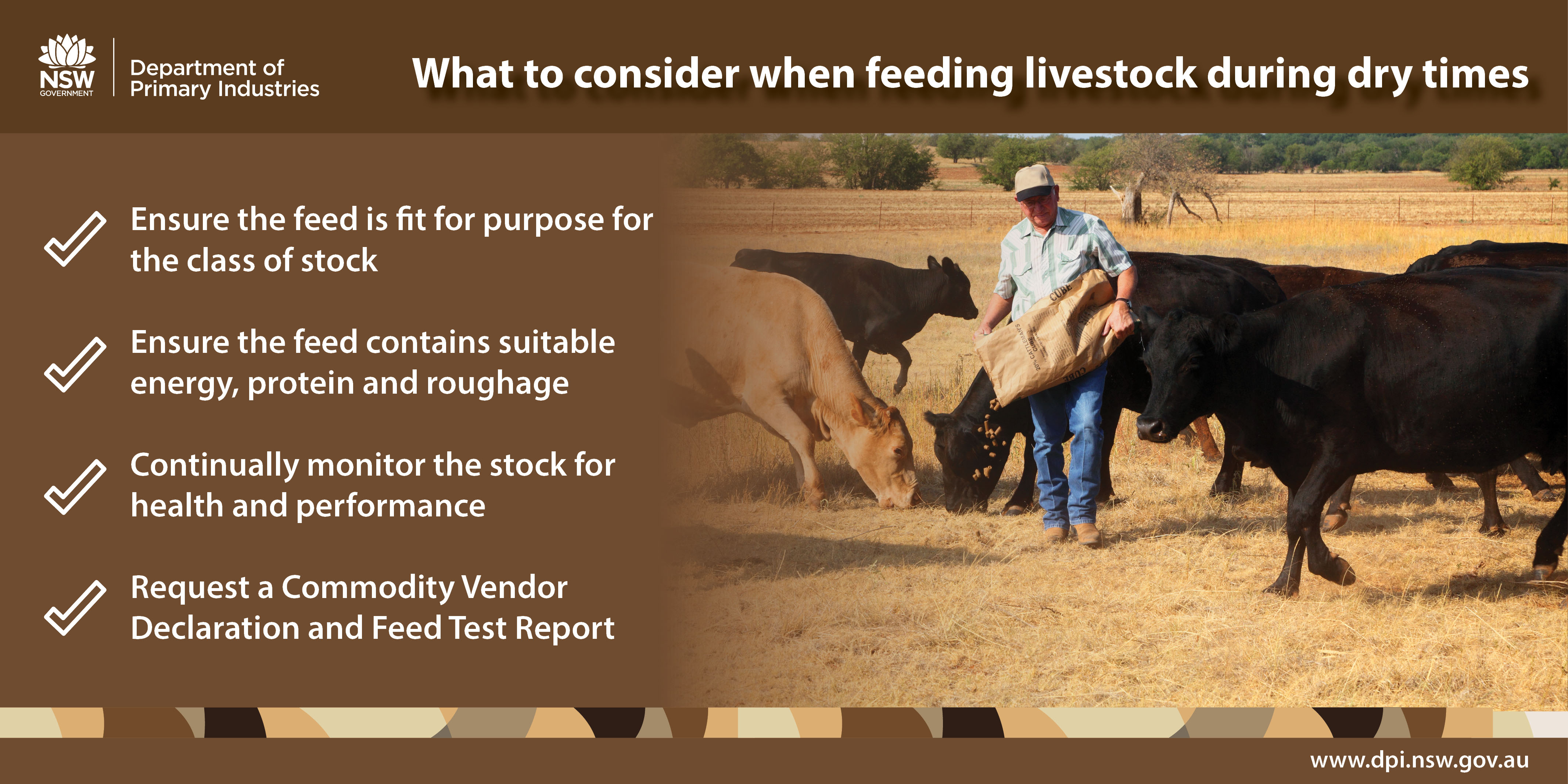 What to consider when feeding livestock during dry times: ensure the feed is fit for purpose for the class of stock, ensure the feed contains suitable energy, protein and roughage, continually monitor the stock for health and performance, and request a Commodity Vendor Declaration and Feed Test Report.