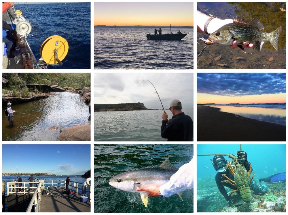 Collage of people fishing