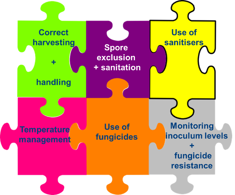 Figure 2. Postharvest fungicides are just one component of decay control.