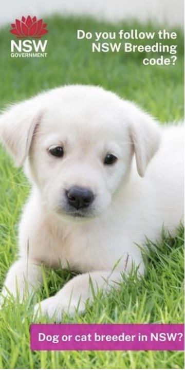 Puppy breeders - do you follow the NSW breeding code?