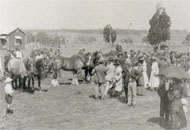 Inspecting the horses on Farm Day, December 1921