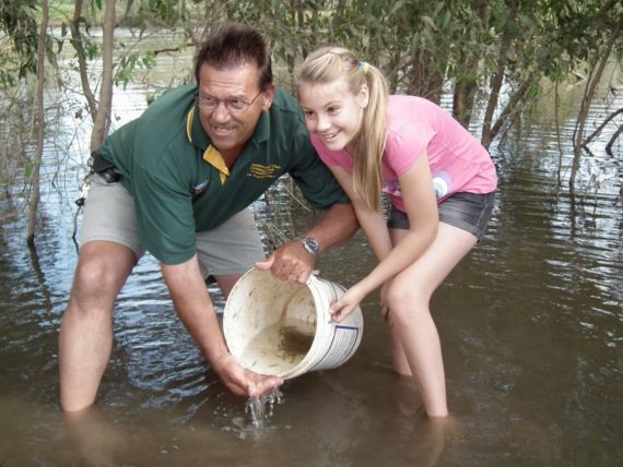 Releasing native fish from bucket