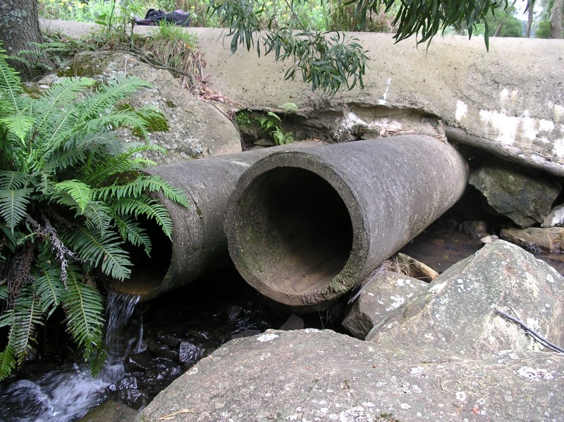 High inverted pipes cause problems for fish passage