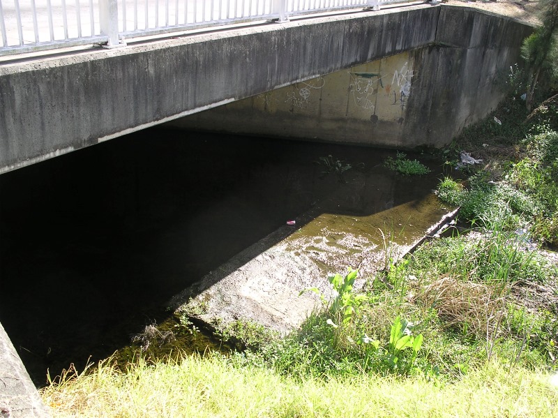 Poorly constructed bridge aprons limit fish passage.