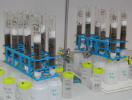 Biochar lab incubation are used for the investigation of a range of biochars in different soils in combination with other organic amendments.