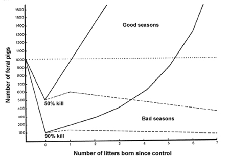 Graph showing the change in numbers of feral pigs in good and bad seasons following 50% and 90% control kills