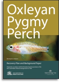 Oxleyan Pygmy Perch