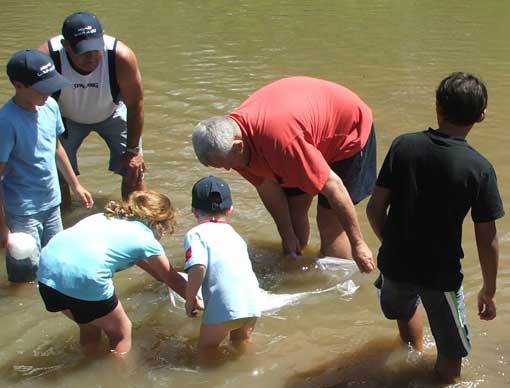  Native restocking after Narrabri carp muster