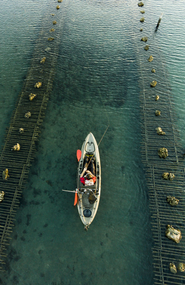 kayak fishing in oyster lease