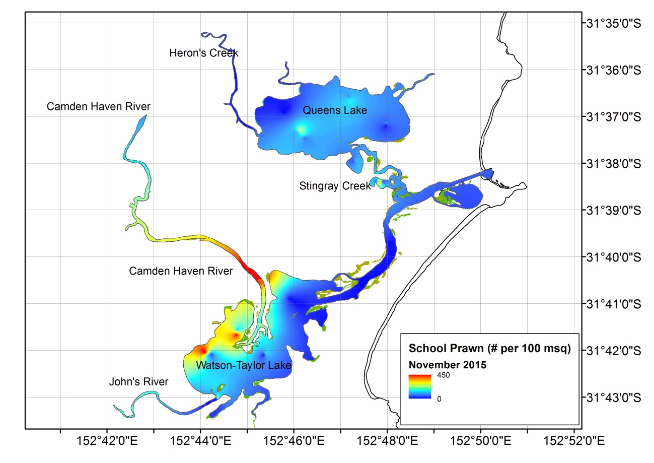 Figure 1. Heat map representing the distribution of School Prawn across the Camden Haven estuary during November 2015. In general, densities were relatively low across Queen’s Lake, the lower estuary and eastern Watson-Taylor Lake. 