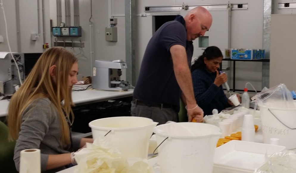 People working in the postharvest laboratory 