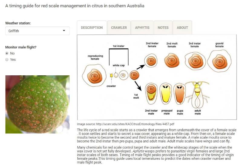 Screen shot of the red scale online tool