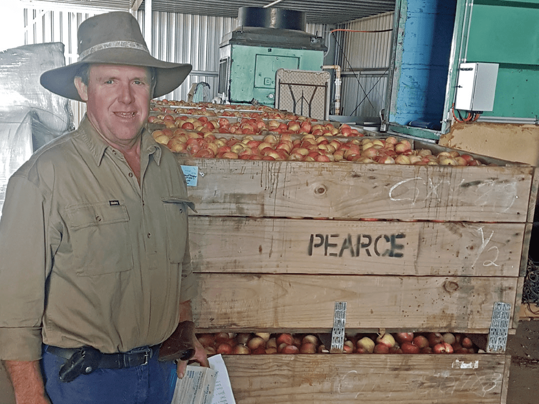 Ian standing next to harvested apples