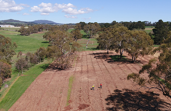 Drone aerial photo over Orange 1 crop trial