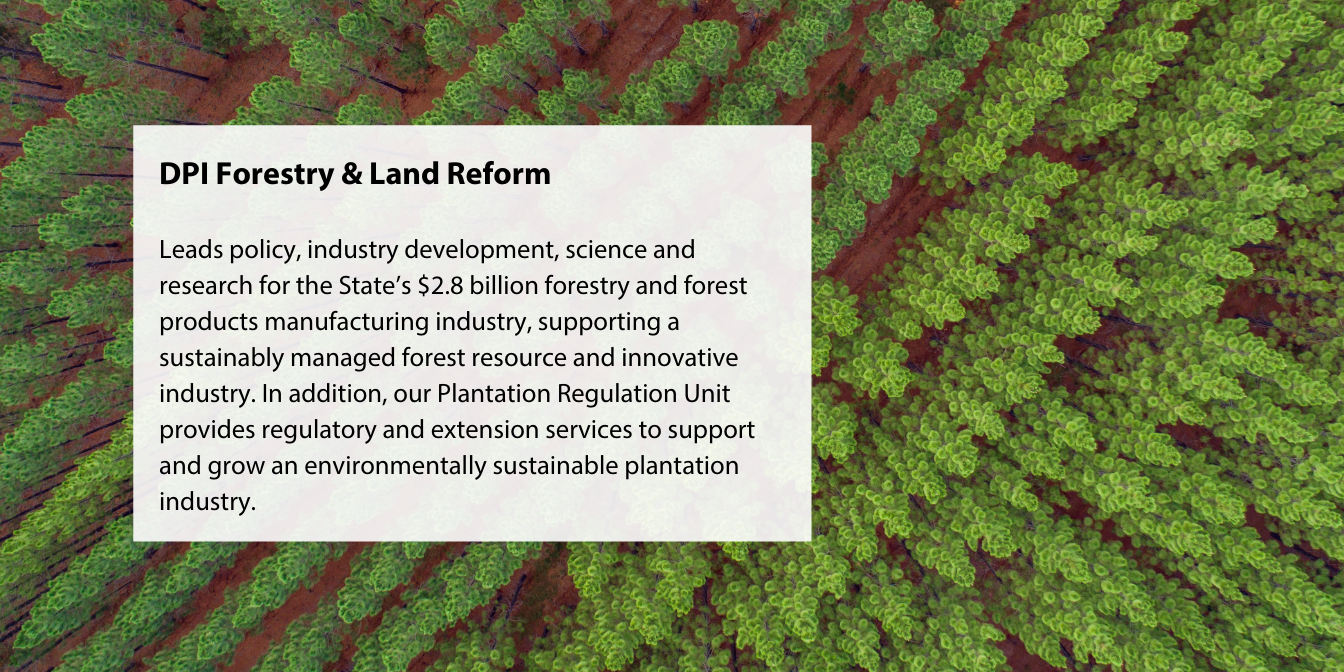 DPI Forestry & Land Reform