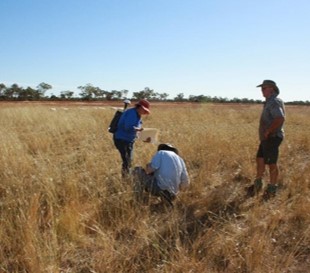 3 figures in rangeland carrying out soil and pasture assessments