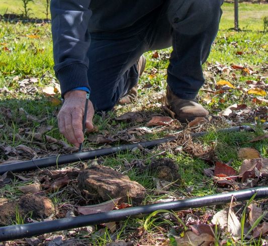 related case study Climate-smart irrigation in perennial orchards 