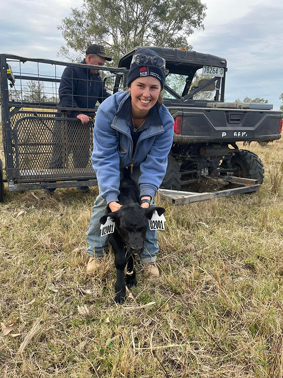 Grafton farm trainee Bellajayne holding the first calf, a black Angus, of the 2023 Southern Multi Breed season.