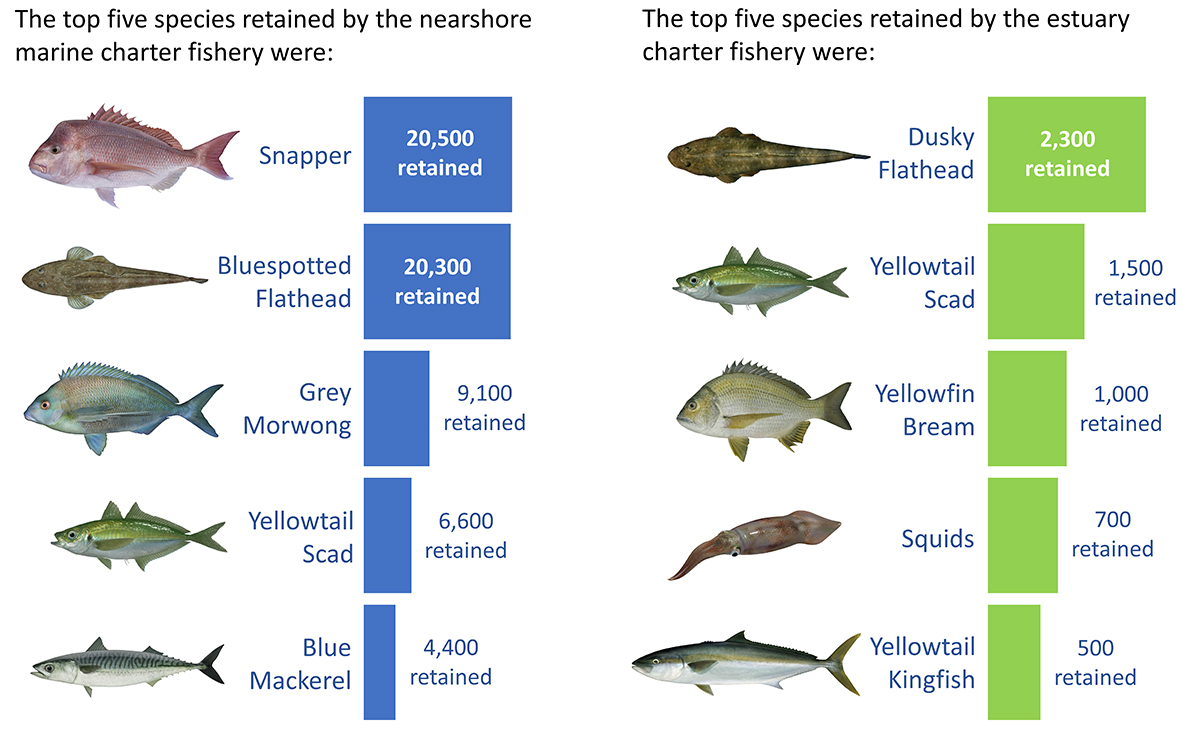 A graphic identifying the top five species caught