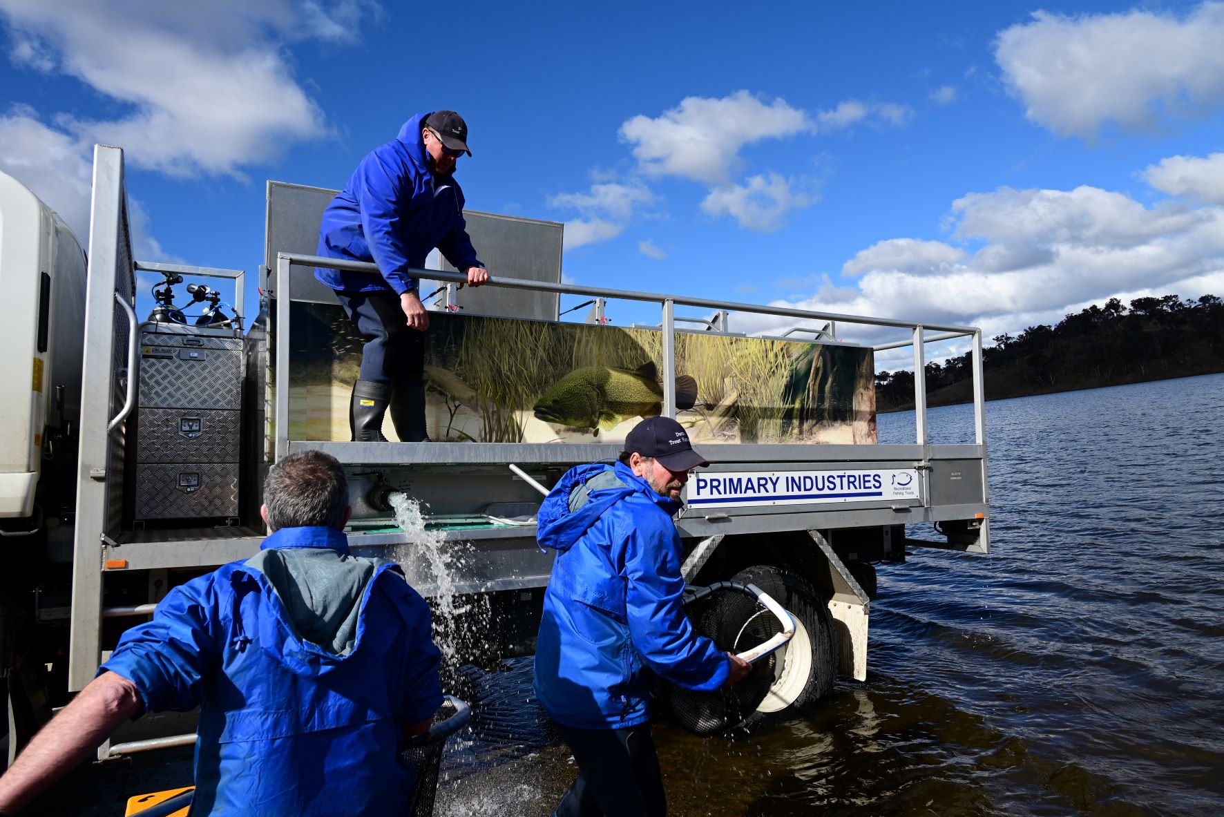 Dutton hatchery releasing fish into Ben Chifley Dam