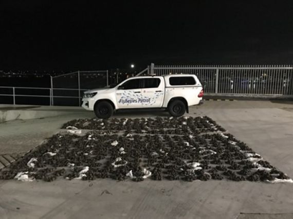 Fisheries patrol vehicle and a large quantity of cockles seized in the Sydney area