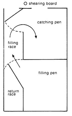 Combined catching/filling pen