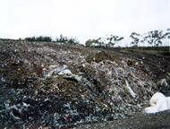 Biochar can help us avoid landfill