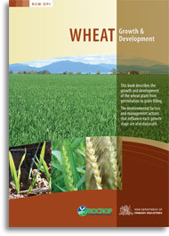 Wheat growth and development