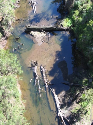 Aerial view of snags in the Wilsons River, north coast, NSW
