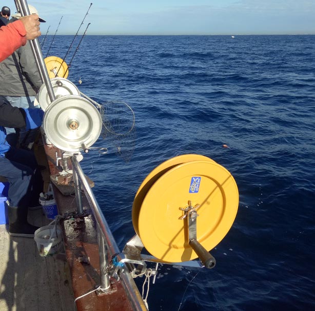 Charter Fishery Monitoring