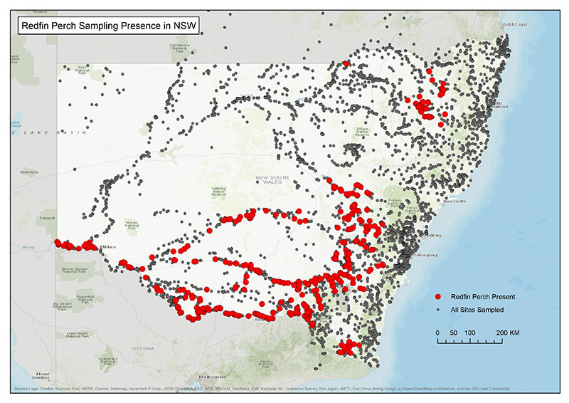 For an accessible explanation of this map contact aquatic.biosecurity@dpi.nsw.gov.au