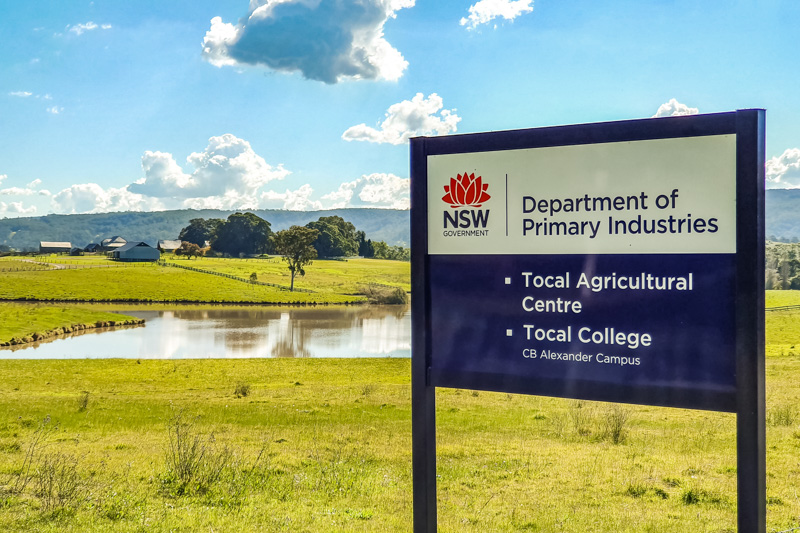 Tocal signage