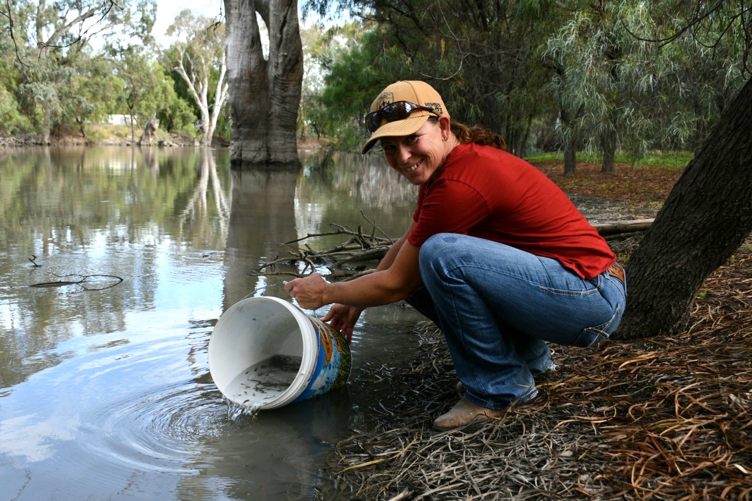 Yanco Creek and Tributaries Advisory Council fish releases 2023/24