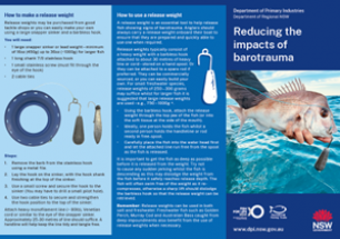 Barotrauma brochure