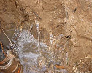 Figure 1. Acid groundwater flowing through large soil pores rapidly filling an excavated pit. While this acid sulfate soil has a clay texture, it has high permeability due to many large, interconnected pores and cracks (Photo: Thor Aaso)