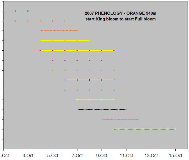 Graph of 2007 Phenology - Orange 940m start King bloom to start Full bloom