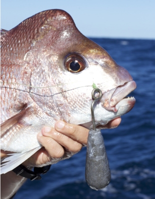 Snapper with weight release